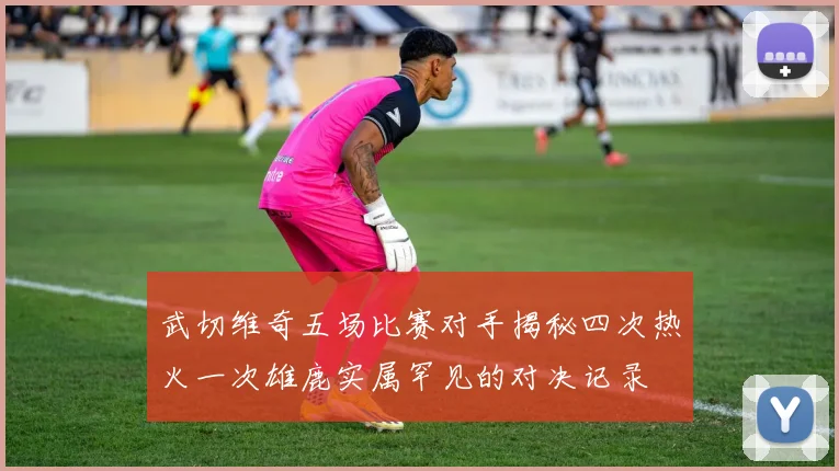 武切维奇五场比赛对手揭秘四次热火一次雄鹿实属罕见的对决记录