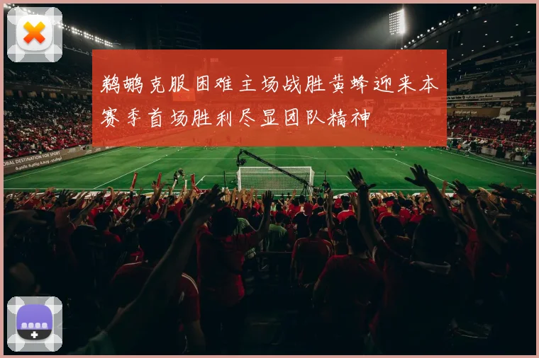 鹈鹕克服困难主场战胜黄蜂迎来本赛季首场胜利尽显团队精神