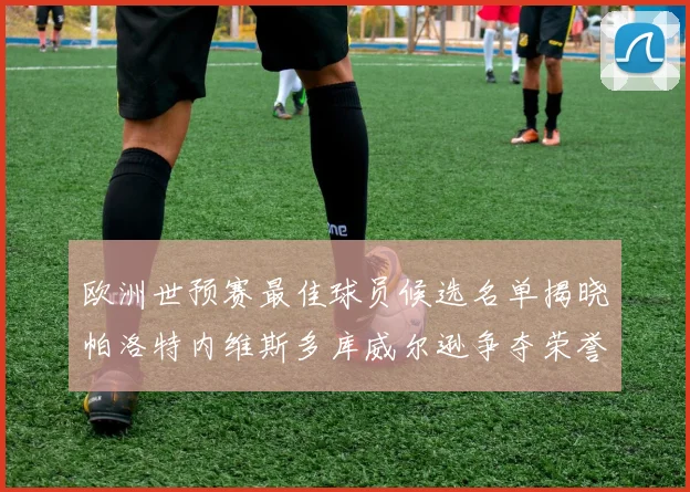 欧洲世预赛最佳球员候选名单揭晓帕洛特内维斯多库威尔逊争夺荣誉